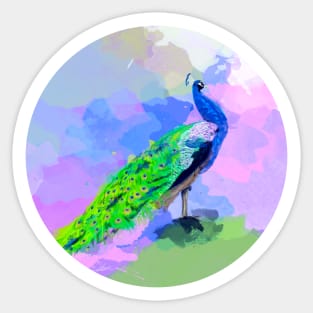 Peacock Dream Sticker